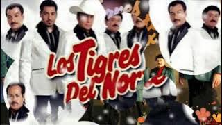 ARRÁNCAME LA VIDA DE UNA VEZ - LOS TIGRES DEL NORTE (serge djbcmx)