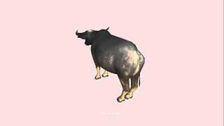 Demo - Waterbuffalo Animations