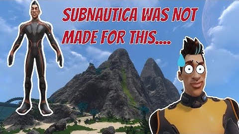 the subnautica multiplayer experience...