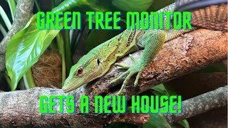 Green Tree Monitor Setup Var Prasinus