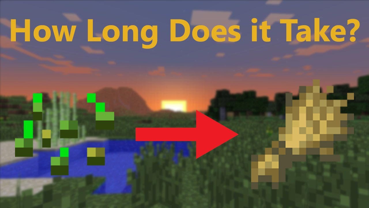 How Long Does it Take Wheat to Grow in Minecraft?