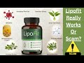 Lipofit Reviews: Does Lipofit Really Works Or A Scam?