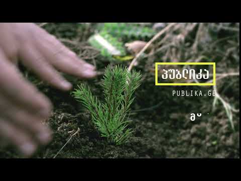 პუბლიკა მალე !