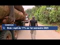 Cameroun :  repli de 17% des exportations de bois au 1er semestre 2025