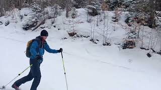 Trying to telemark on Alpina Lite Terrain and Alaska NNN BC