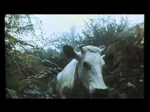Trailer de Vacas (Julio Medem, 1992)