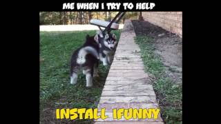 iFunny Ad 201