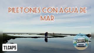 *️⃣👉LOBERIA RIO NEGRO - El Cóndor - Piletones naturales con agua de mar