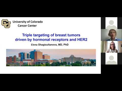 Triple Targeting of Breast Tumors Driven by Hormonal Receptors and HER2*