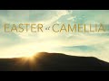 How the Resurrected Jesus Serves His People (4-5-26)