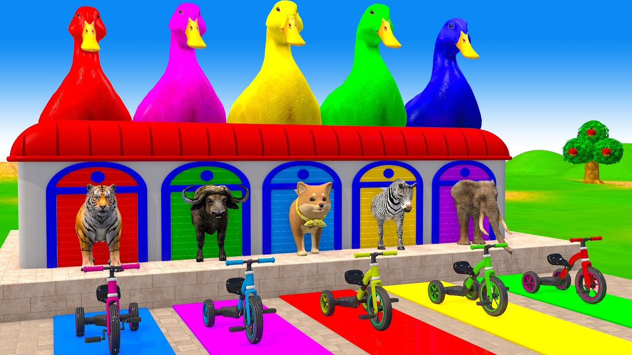 Long Slide Game With Cow Elephant Gorilla Hippopotamus Tiger 3d Animal Game Funny 3d Animals