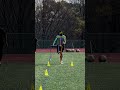 FIRST PRINCIPLES IN SPEED - Dan Pfaff