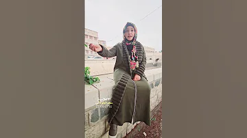 بيفتجعوا علينا جعلي مكسرقد احنا متعسكرات يا خبره حفيدة بلقيس 