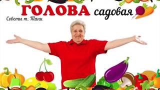 Голова садовая - Формируем куст смородины