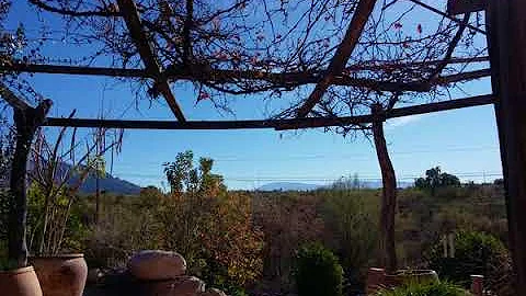 Deepak Chopra - The Secret of Love: Meditations For Attracting And Being In Love