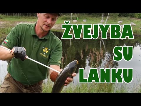 Video: Žąsies Lankas