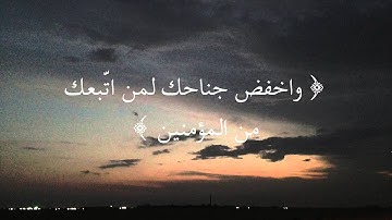 القارئ اليمني محمد صالح - من أواخر سورة الشعراء