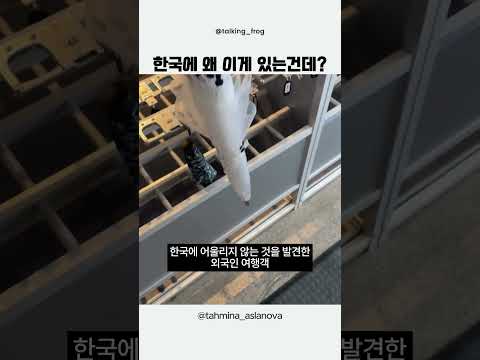 외국인이 이것을 보고 놀란 이유 thumbnail