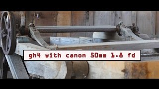 Panasonic GH4 - 50mm 1.8  & Fotodiox Adapter