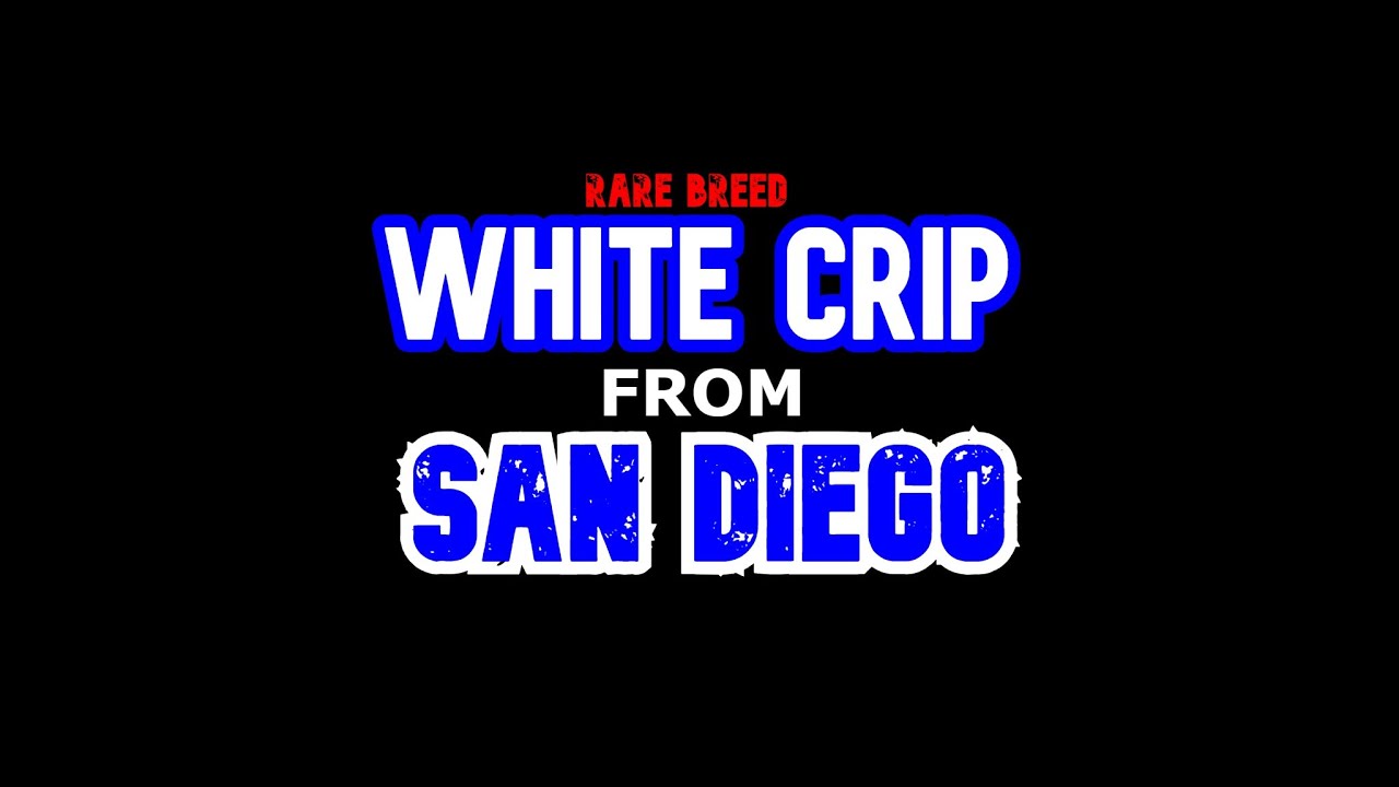 Snow Roc SAMPLER - YouTube