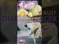 Vegetable and Fruit Dicer &amp; Slicer | Medatech Industries