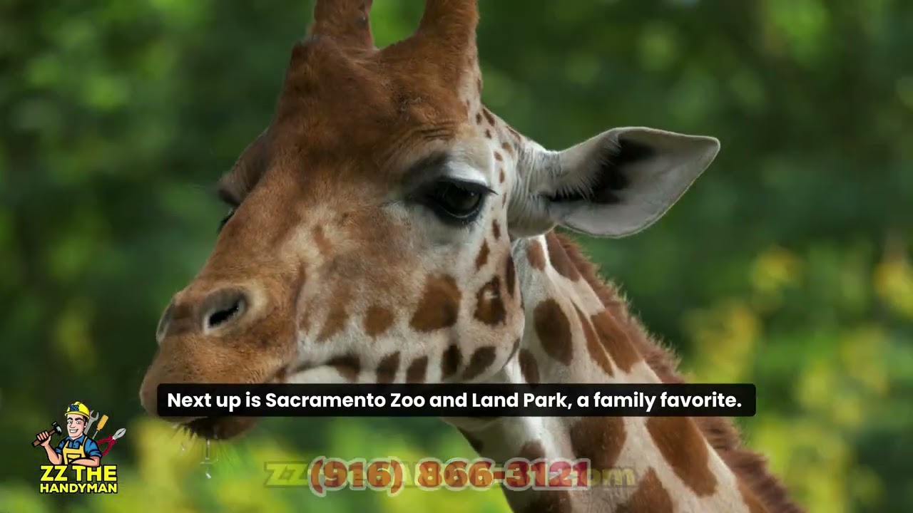 THINGS TO DO IN SACRAMENTO, CALIFORNIA !