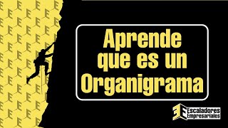 Aprende que es un Organigrama