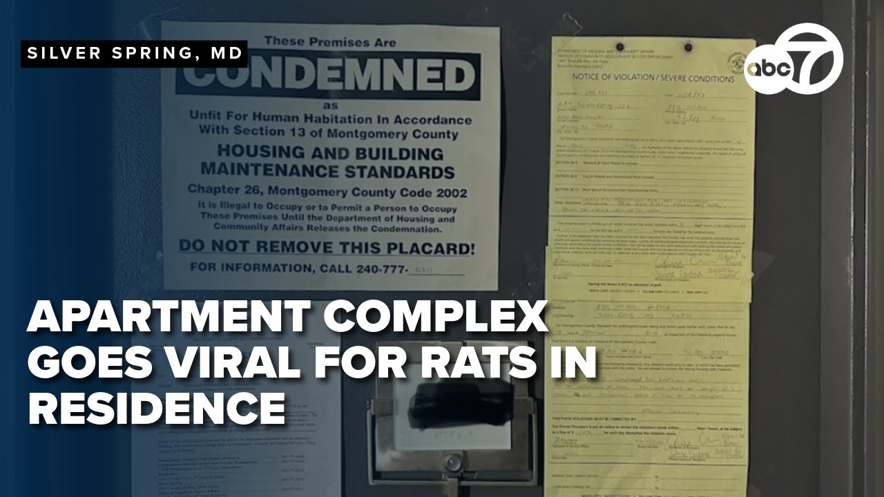 Viral video of rat infestation in Maryland apartment complex spurs county crackdown