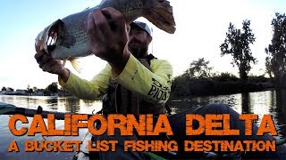 You Need to Fish the California Delta