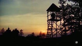 Download Lagu ULTIMA NOAPTE DE DRAGOSTE (1979) [ FULL HD ] MP3