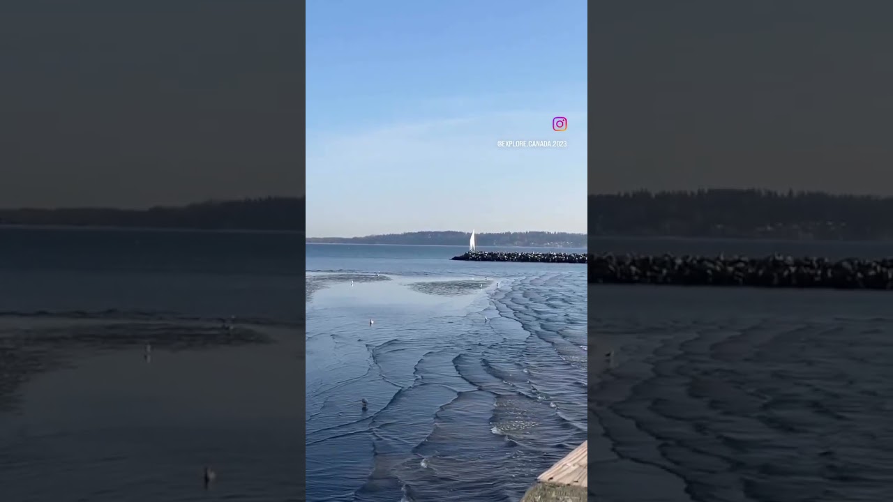 Taken from Canada's longest pier In White Rock, BC 💙 
