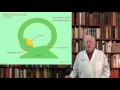 Lecture 3.  The Vestibular System  Structure, Function and Dysfunction