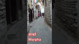 #marpha #mustang #muktinathtemple #marphaapple