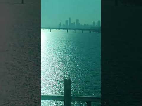 20250218 공항철도 마곡철교 구간영상 (마곡나루역에서 DMC역까지) #shorts