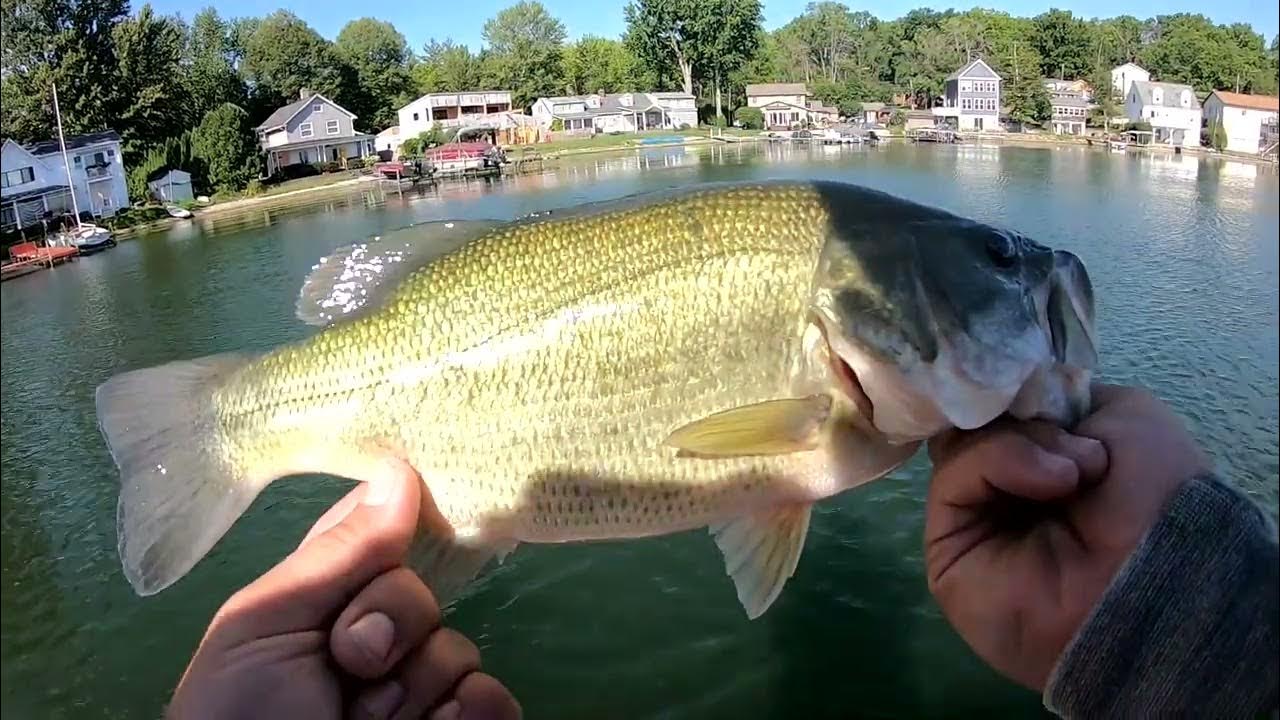 Mid Summer Bass Fishing In New York On Conesus Lake! YouTube