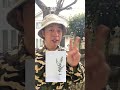 植木屋がよくされる質問「家のオリーブに実がならない? なんで?」 だいたいの理由がこれ! #庭作業 #ガーデニング #オリーブ