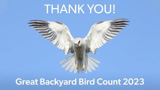 Great Backyard Bird Count 2023: Thank You! screenshot 3