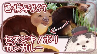 【一緒にお絵描き】色模写の火曜日＃６９【まったり朝活】