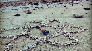 19 May 2019 Full Moon Meditation - Scorpio 1