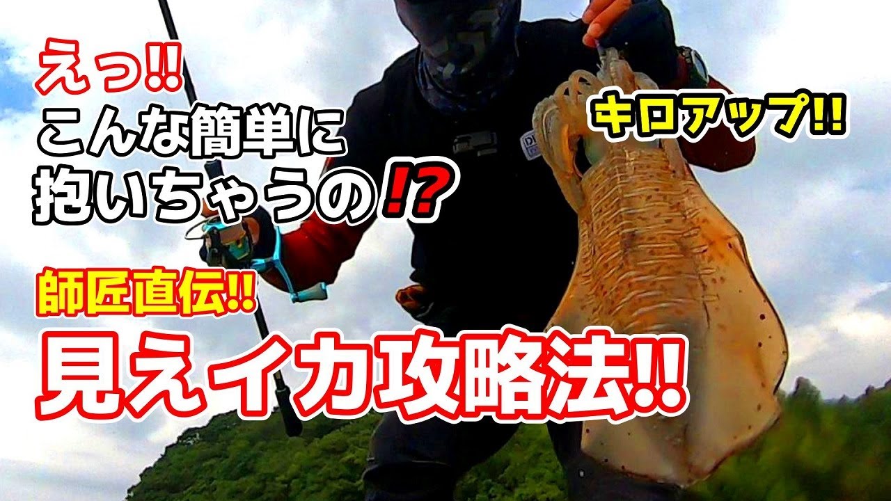 エギング】師匠直伝のスレた見えイカの攻略法試したら一撃でした