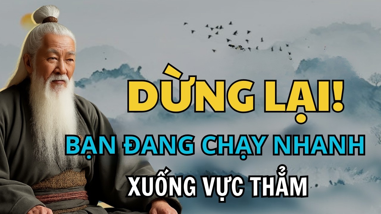 Cổ Nhân Dạy: Người Trí Tuệ Không Vội, Vì Họ Nhìn Thấy Những Thứ Mà Người Thường Phớt Lờ.