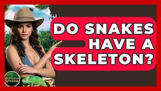Do Snakes Have A Skeleton - Reptilian Wonders