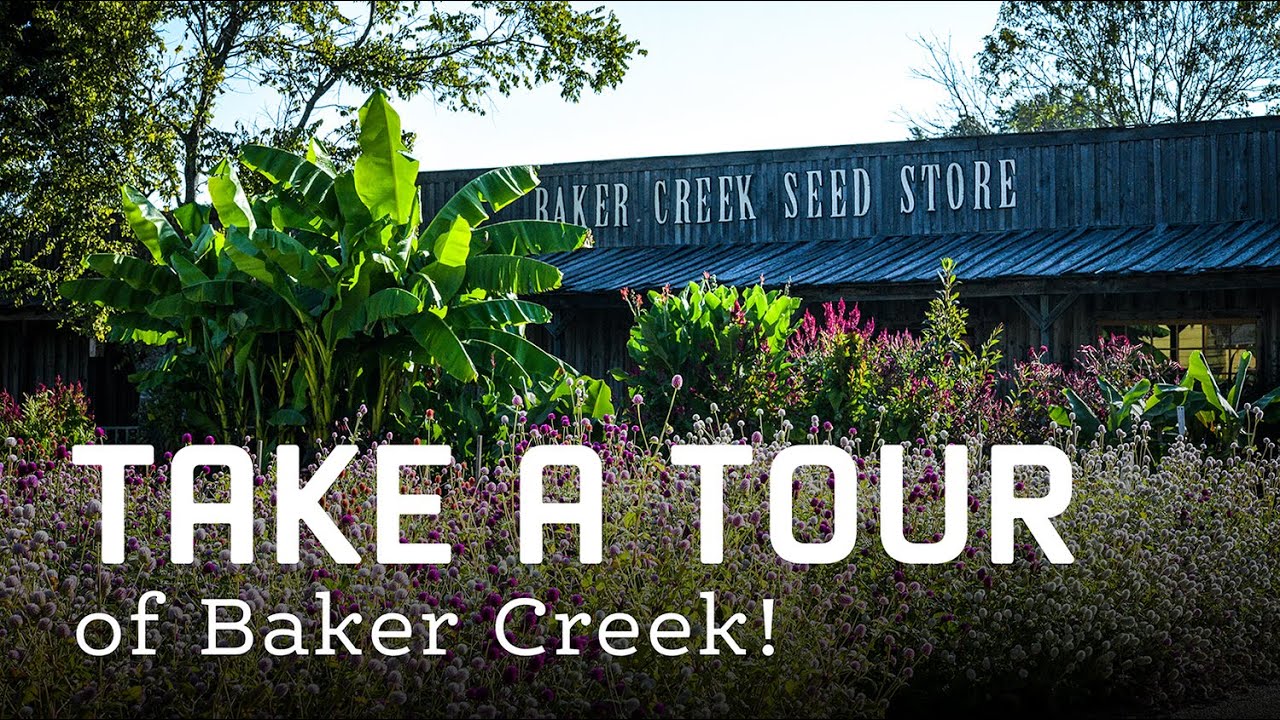 A Tour of Baker Creek! YouTube