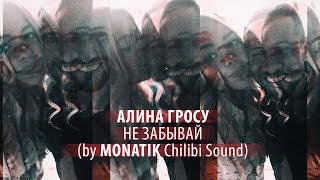 Алина Гросу - Не забывай (by МONATIK Chilibi Sound)