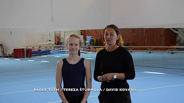Co je gymnastická aktivita?