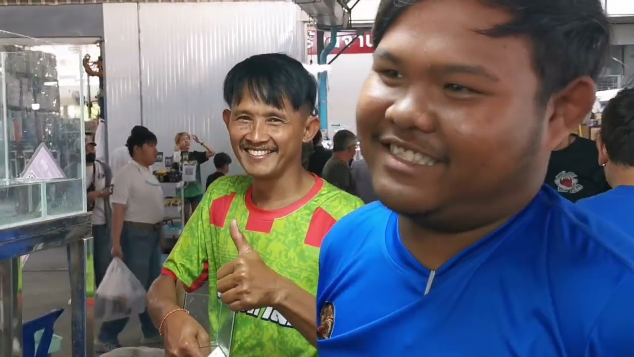 ตลาด​ปลา​สวยงาม​ลาน​เร่​จตุจักร​🐟(04/03​/2026)​