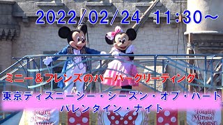2期バレナイ ミニー フレンズのハーバーグリーティング トータリー ミニーマウス Tds Minnie Friends Harbor Greeting Totally Minnie Mouse Youtube