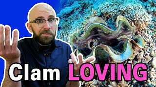 How Do Clams Reproduce? screenshot 5