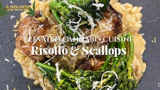 420:101 | How To Make Elevated Cannabis Cuisine: Risotto & Scallops