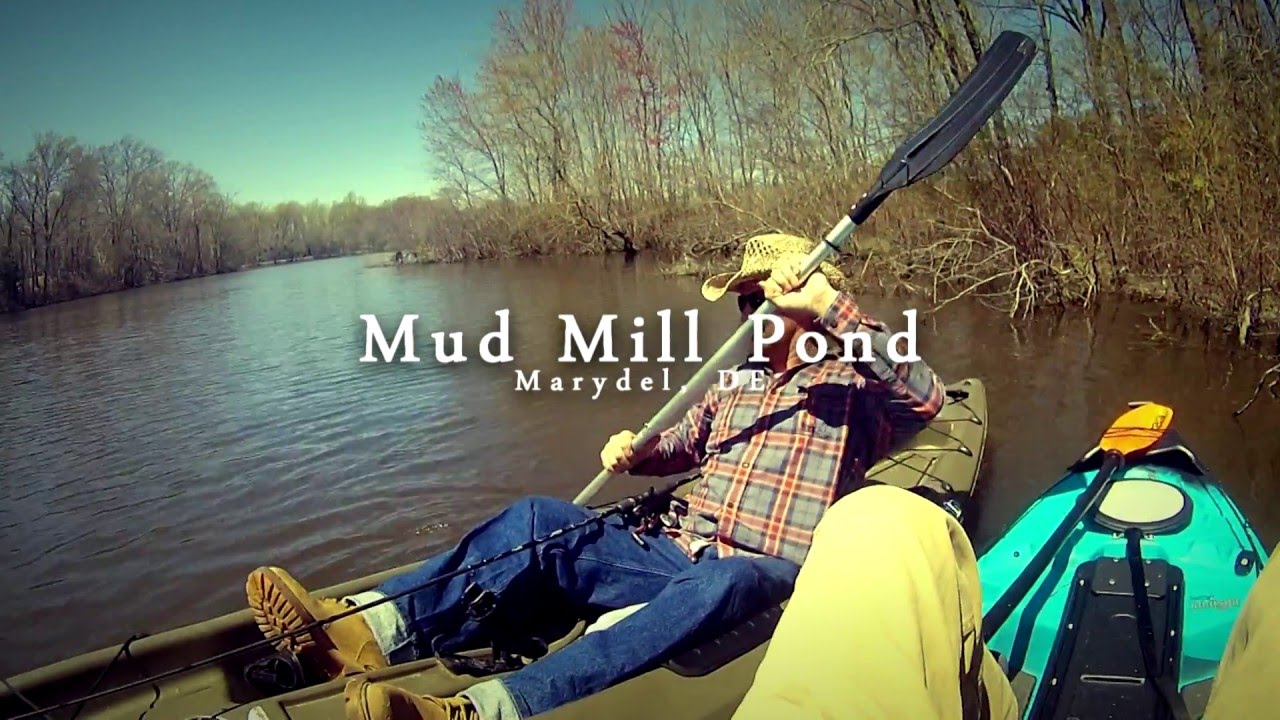 Kayak Fishing Mud Mill Delaware YouTube